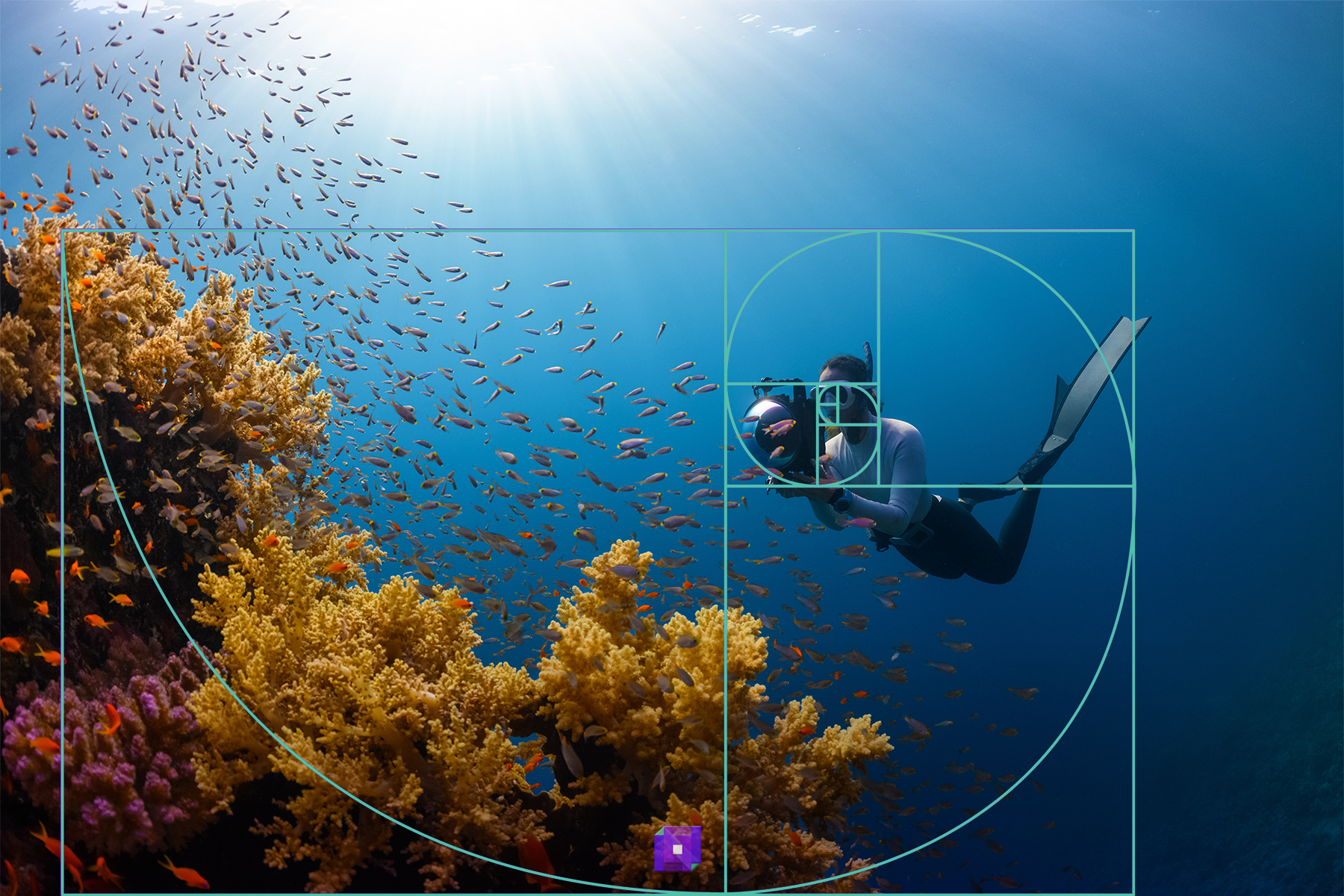 Diver with Coral Reef along the Golden Spiral