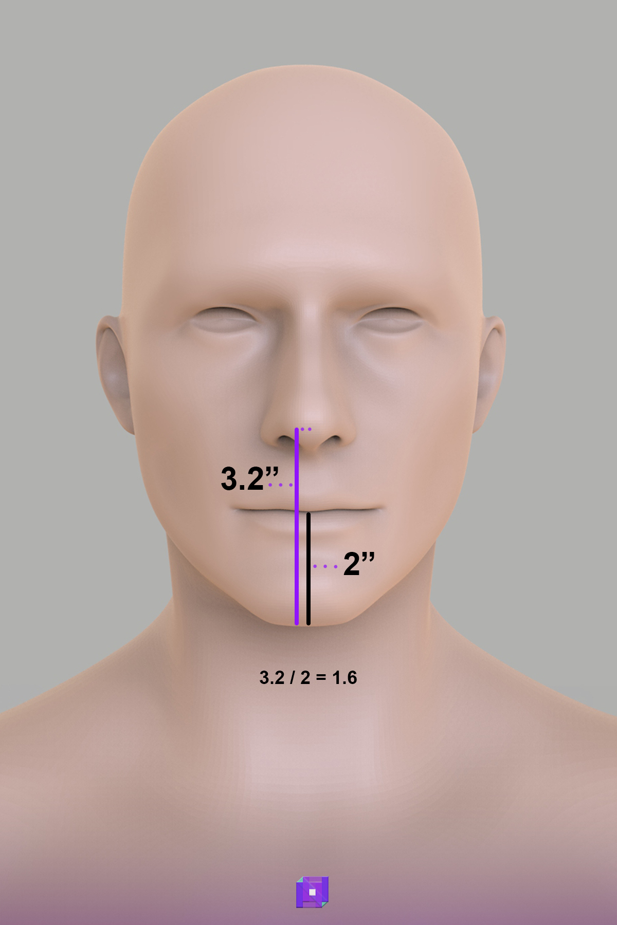 Human mouth/nose/chin golden ratio proportions