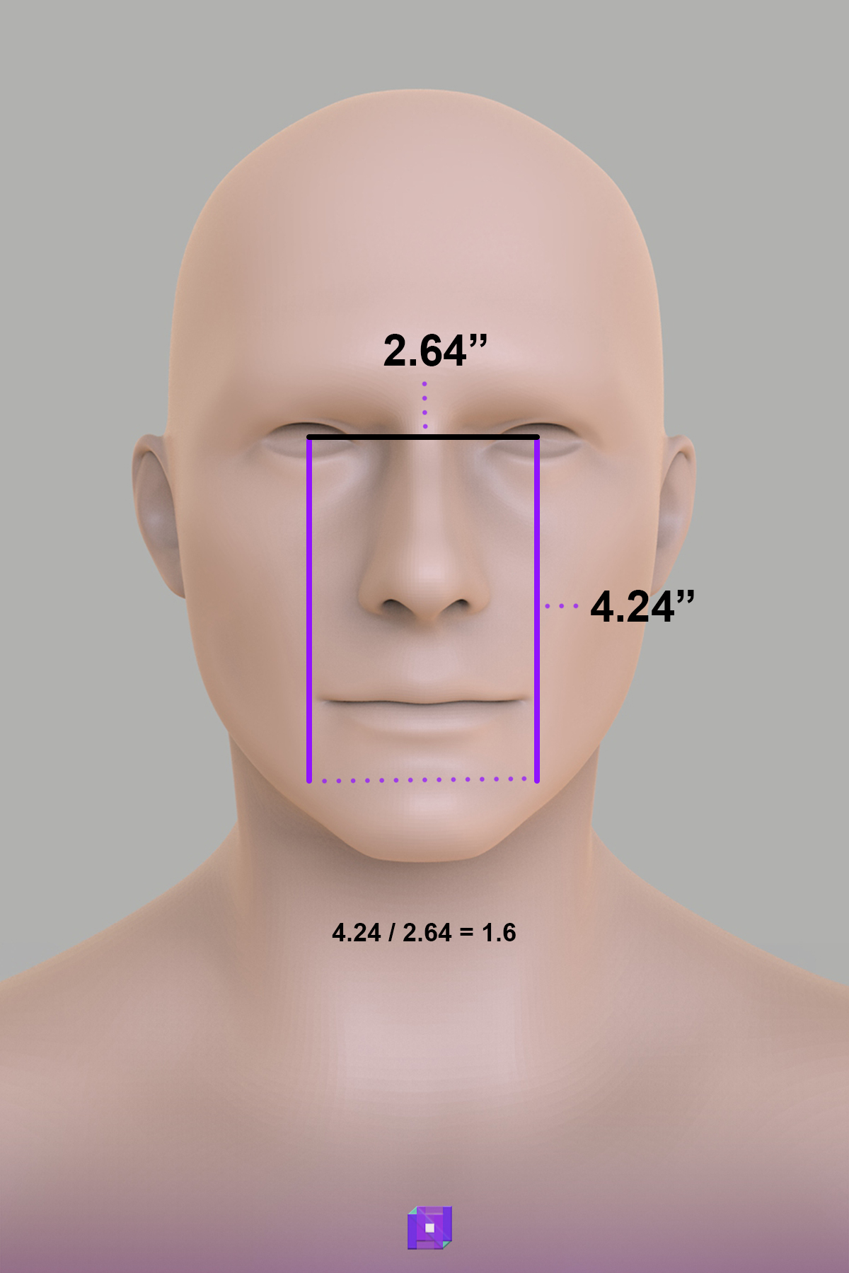 Human eyes distance golden ratio proportions